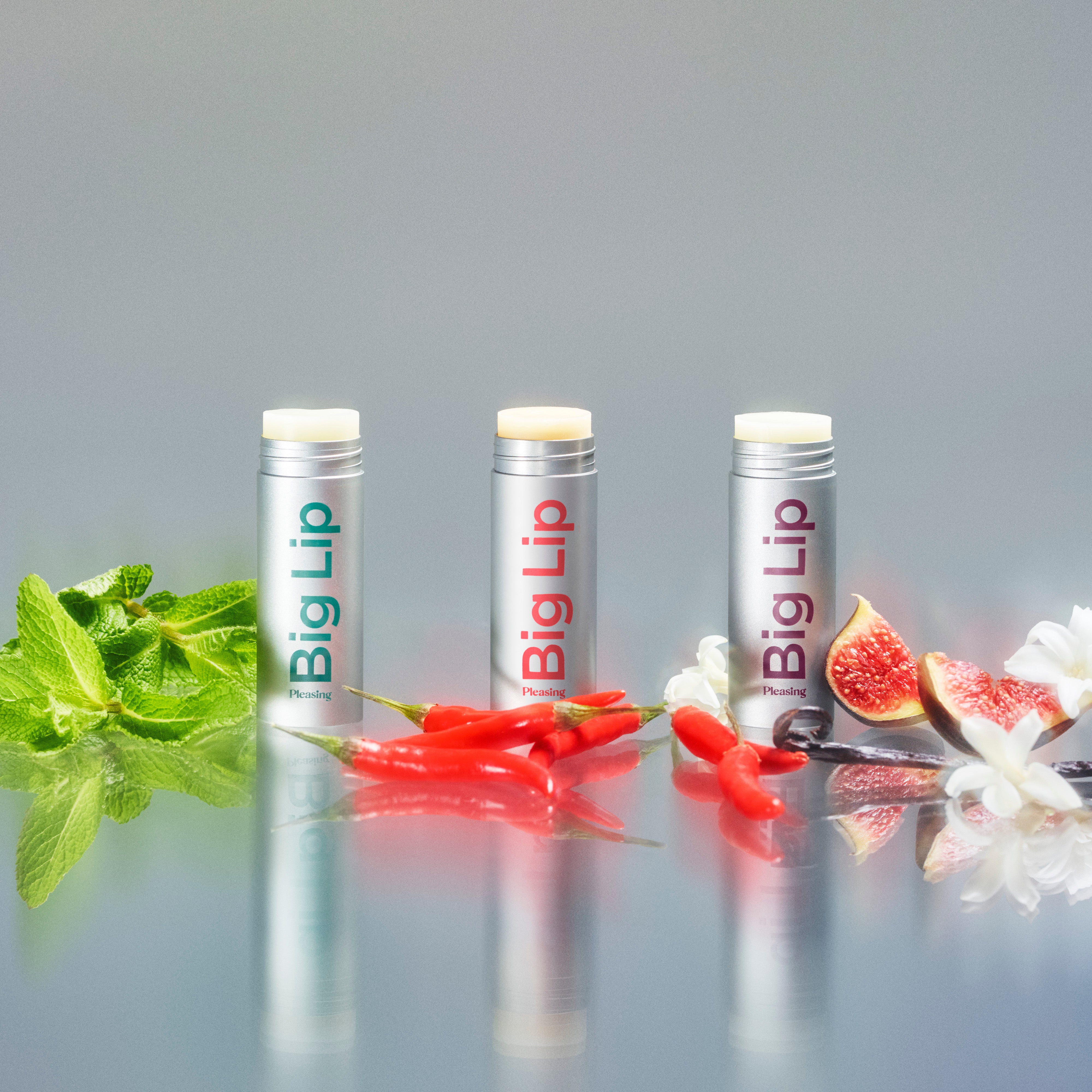 Big Lip Moisture Balm Trio Set – Pleasing