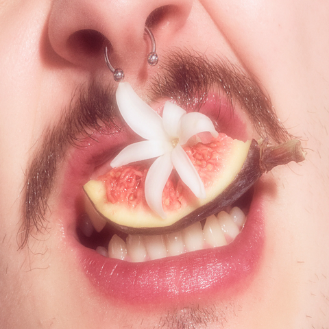Big Lip Moisture Balm in Vanilla Fig