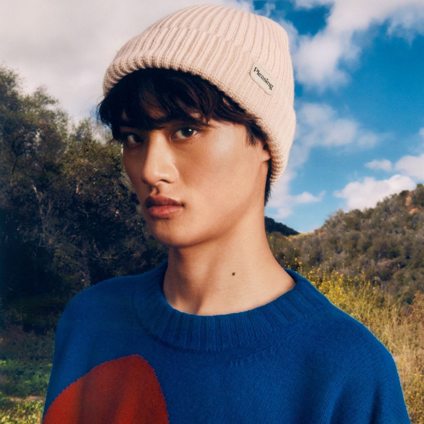 Soft Knit Beanie TODAYFUL ブラウン TODAYFUL トゥデイフル Soft Knit Beanie 即日発送 : RAPTURE - 通販